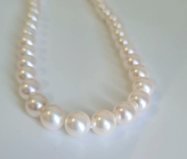 Akoya sea pearl necklace