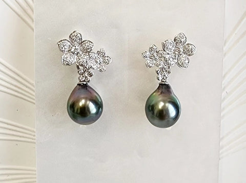 Tahitian sea pearl earring