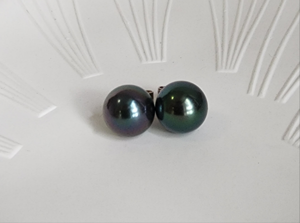 Tahitian sea pearl earring